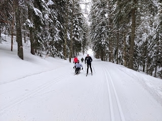 skieurs au loin