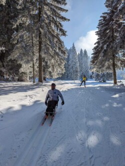 lugeur dans la forêt
