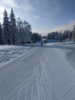 piste fraichement damée . Au fond un lugeur