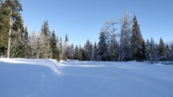 Laurent s'en va sans moi...(Alex)