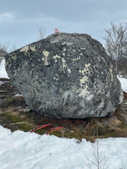 la mascotte au sommet