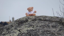la mascotte prend un peu de repos