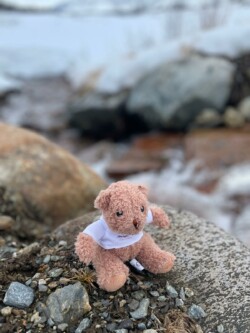 la mascotte profite du paysage Notre mascotte nous accompagne un peu partout