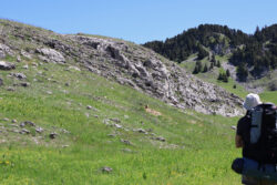 on aperçoit une marmotte