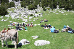 picnic à l'ancienne carrière romaine
