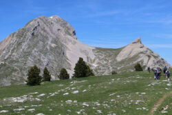 le grand Veymont