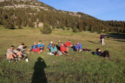 le picnic du soir