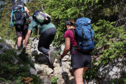 terrain difficile pour Moustique et pour les handis